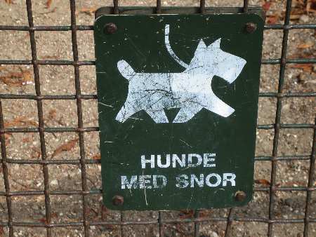 hunden.jpg